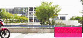 1.gif