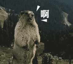 640.gif