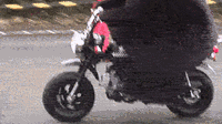 640.gif