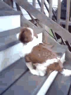 640.gif