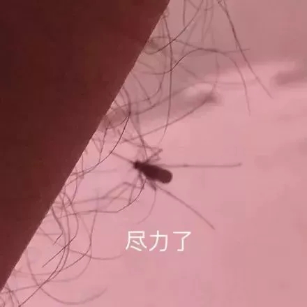 微信图片_201907051127401.jpg
