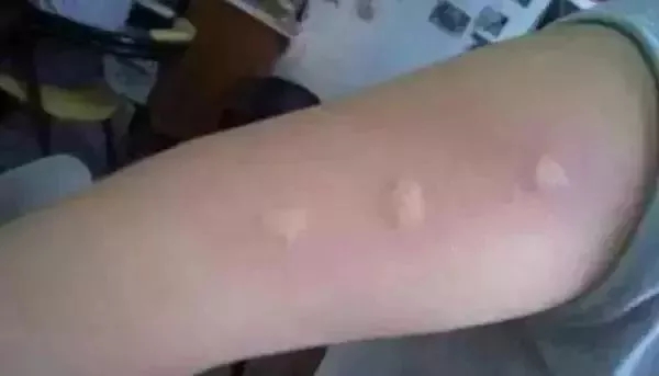 微信图片_201907051127402.jpg