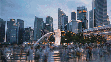 11.15.1.gif